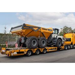  Knickgelenkte Muldenkipper Liebherr TA230 Litronic 12466276